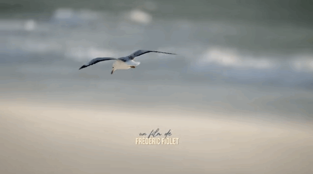 Capture d’écran 2025-11-16 à 21.42.13